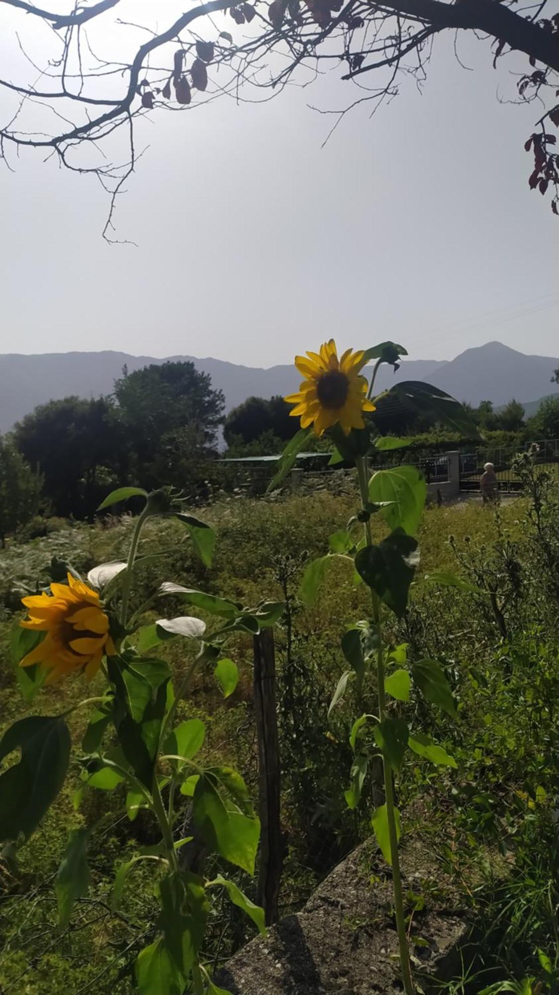 Tzoumerka * Ramia
